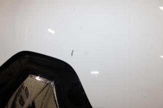 Renault Kadjar  picture 19