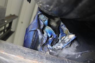 Seat Ibiza  picture 21