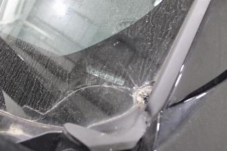 Land Rover Discovery Sport  picture 8