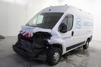 Auto incidentate Opel Movano  2024/3