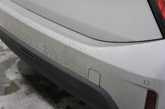 Mini Cooper C picture 23