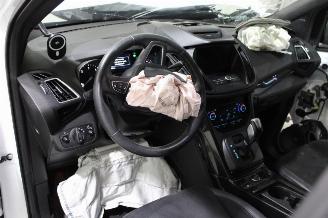 Ford Kuga  picture 9