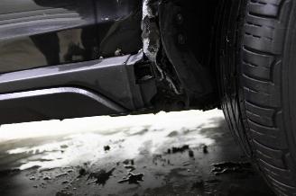 Dacia Duster  picture 16