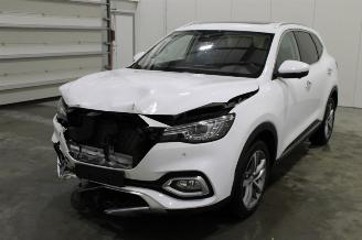 Auto incidentate MG HS  2023/6