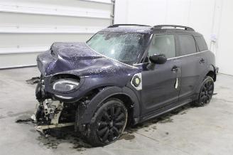 Dezmembrări autoturisme Mini Cooper _COUNTRYMAN 2023/6