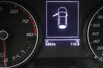 Seat Ibiza  picture 12