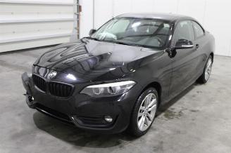 damaged passenger cars BMW 2-serie 218 2020/1