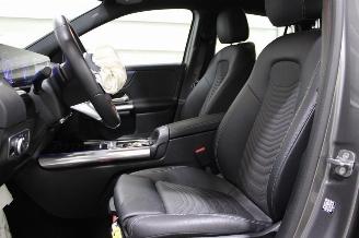 Mercedes EQA  picture 10