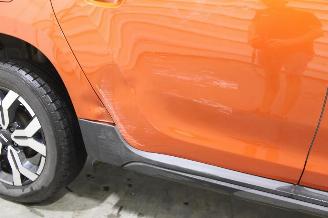 Dacia Duster  picture 7