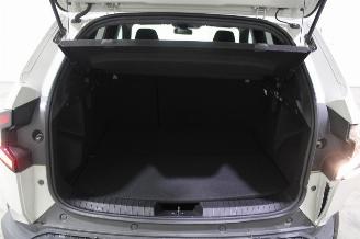 Dacia Duster  picture 21