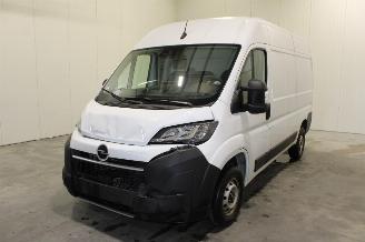 Coche accidentado Opel Movano  2025/10