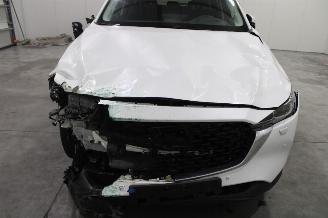 Mazda CX-5  picture 7