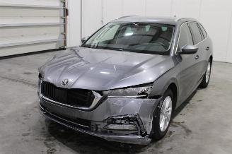 Auto incidentate Skoda Octavia  2023/9