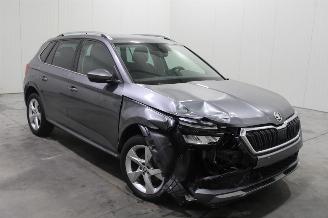 Skoda Kamiq  picture 2