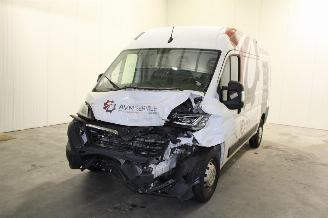 Avarii autoturisme Opel Movano  2024/2