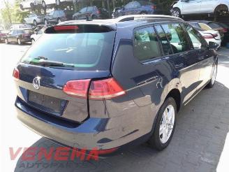 Volkswagen Golf Golf VII Variant (AUVV), Combi, 2013 / 2021 1.6 TDI BlueMotion 16V picture 4