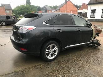 Salvage car Lexus RX 450 2010/1