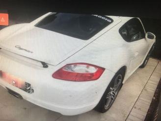 Sloopauto Porsche Cayman  2010/1