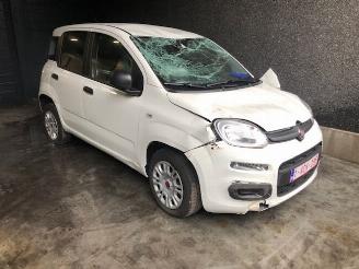 Auto da rottamare Fiat Panda  2018/1
