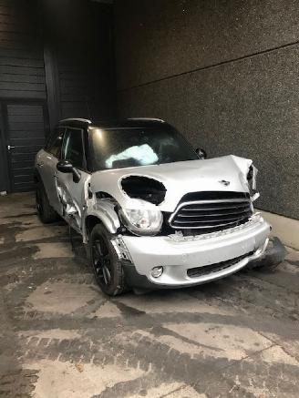 Sloopauto Mini Countryman  2014/1