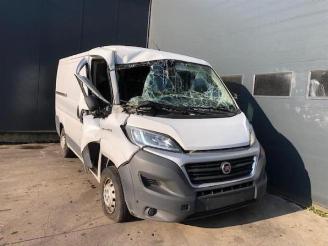 Auto da rottamare Fiat Ducato  2017/4