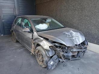 Sloopauto Volkswagen Golf Golf VII (AUA), Hatchback, 2012 / 2021 1.6 TDI 16V 2013/5