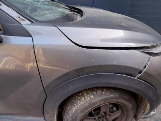 Nissan Juke Juke (F16), SUV, 2019 1.0 DIG-T 12V picture 10