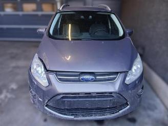 Ford Grand C-Max Grand C-Max (DXA), MPV, 2010 / 2019 1.0 Ti-VCT EcoBoost 12V 125 picture 2