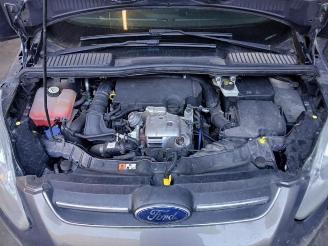 Ford Grand C-Max Grand C-Max (DXA), MPV, 2010 / 2019 1.0 Ti-VCT EcoBoost 12V 125 picture 19