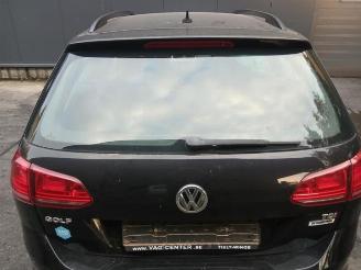 Volkswagen Golf Golf VII Variant (AUVV), Combi, 2013 / 2021 1.6 TDI 16V picture 11