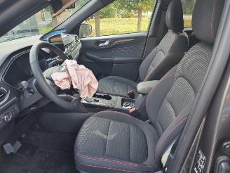 Ford Kuga 2.5i Hybrid ST-LINE Stoelverw. picture 11