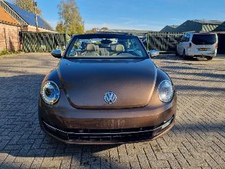 Volkswagen Beetle Cabrio 2.0 TDI 103 KW Stoelver Navi Xenon picture 8