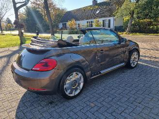 Volkswagen Beetle Cabrio 2.0 TDI 103 KW Stoelver Navi Xenon picture 5