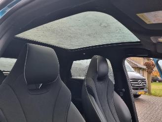 BYD Dolphin 60.4 kWh Pano Led Navi Camera picture 13