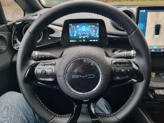 BYD Dolphin 60.4 kWh Pano Led Navi Camera picture 18