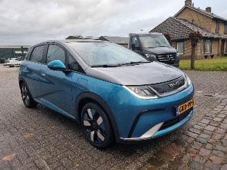 BYD Dolphin 60.4 kWh Pano Led Navi Camera picture 8