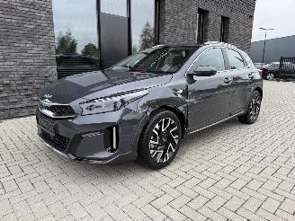 Kia Xceed 1.5 T-GDI 140PK DCT7 VISION picture 14