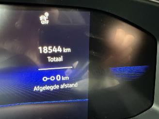 Volkswagen Polo 1.0 TSI 115PK DSG7 R-Line picture 29