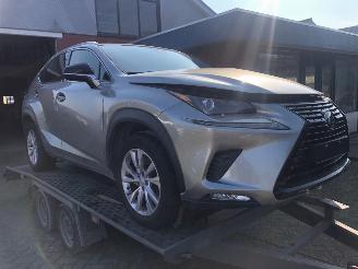 Schadeauto Lexus NX NX300 AWD 2020/6