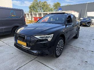  Audi E-tron 55 quatro Proline -PANO-LEDER-CAMERA-NAVI-408 PK 2019/11
