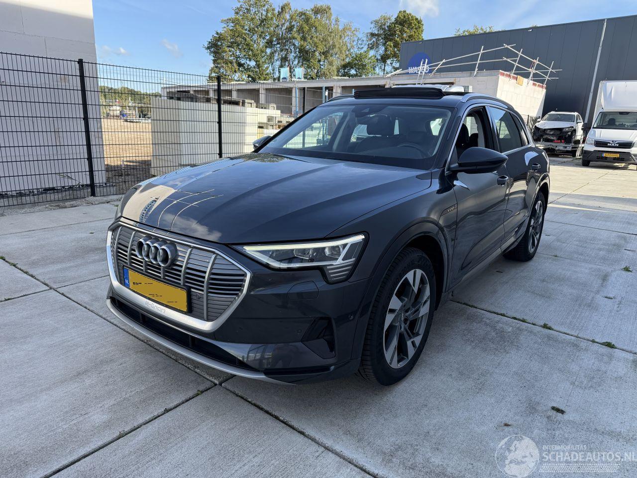 Audi E-tron 50 QUATRO Launch edition plus 71 kWh PANO-NAVI-LEDER