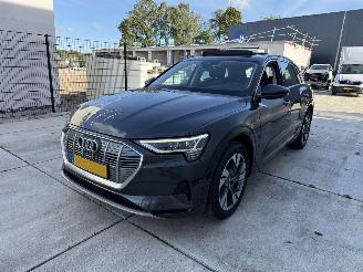 skadebil auto Audi E-tron 50 Quatro Launch Edition Plus 71 kWh PANO-LEDER-NAVI-PDC 2019/12