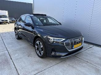 Audi E-tron 50 Quatro Launch Edition Plus 71 kWh PANO-LEDER-NAVI-PDC picture 2