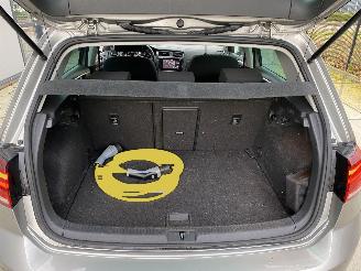 Volkswagen e-Golf NAVI-PDC-LED picture 11