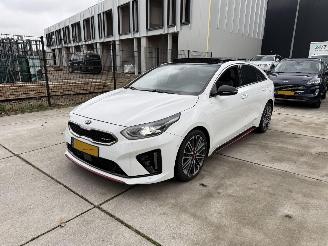 Kia Proceed 1.6 T-GDI-GT AUTOMAAT-PANO-CAMERA-NAVI-PDC picture 2