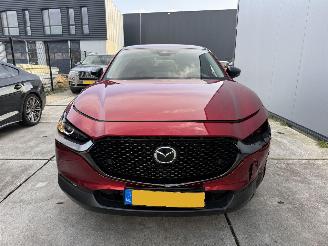 Mazda CX-30 2.5 e -SkyActive-G M Hybrid Nagisa-LEDER-CAMERA-HUD-NAVI-PDC picture 13