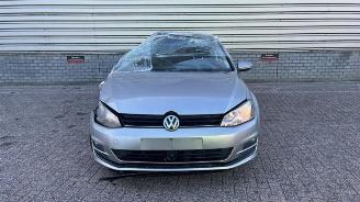 Volkswagen Golf Golf VII (AUA), Hatchback, 2012 / 2021 1.6 TDI 16V picture 2