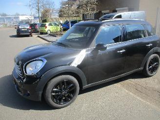Coche accidentado Mini Countryman 1.6 I COOPER EDITION CLIMA NAVI PANO 2012/6