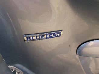 Peugeot Partner Tepee 1.6 HDI ACTIVE AUTOMAAT L+R  SCHUIFDEUR picture 12