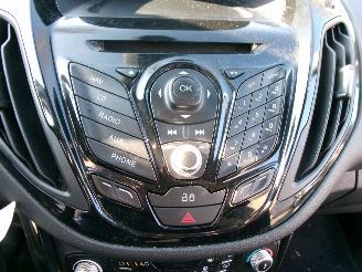 Ford B-Max 1.0 ECOBOOST TITANIUM picture 16